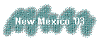 New Mexico '03