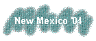 New Mexico '04