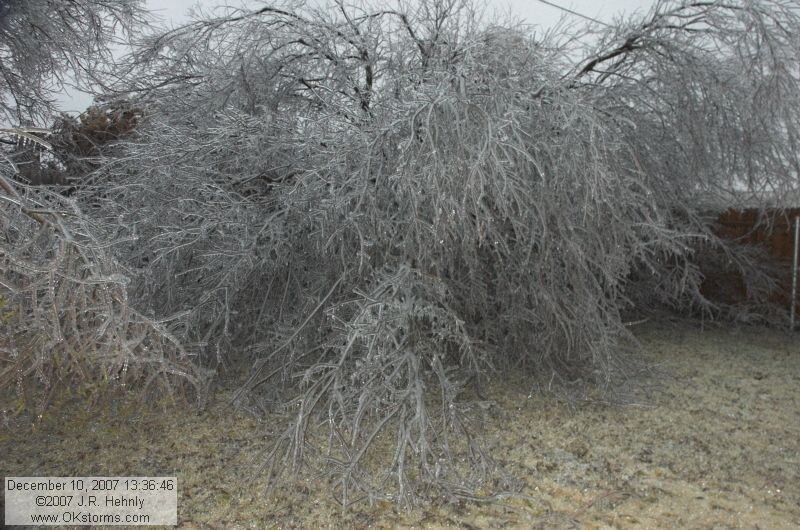 December 2007 Ice Storm - Central Oklahoma
