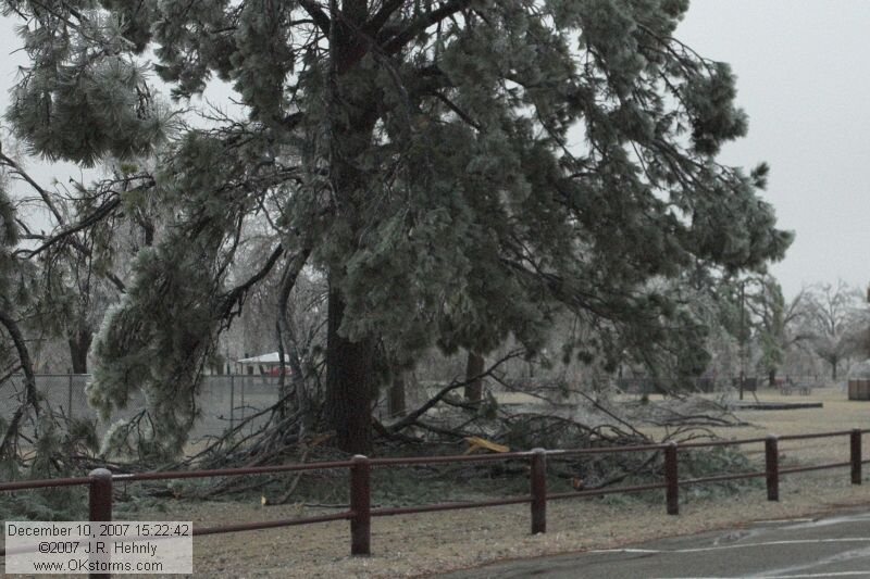 December 2007 Ice Storm - Central Oklahoma