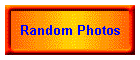 Random Photos